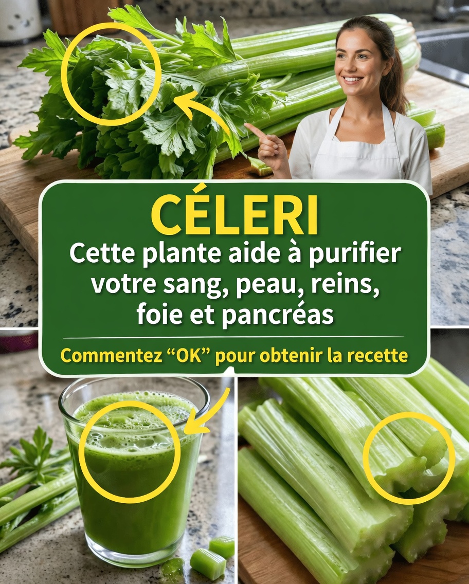Comment le céleri peut s’intégrer à votre routine bien-être : recette de jus facile et conseils pratiques à essayer dès aujourd’hui