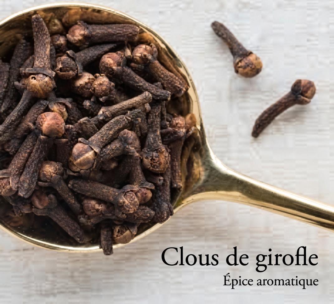 Que se passe-t-il lorsque vous mangez 2 gousses d’ail chaque jour ? Un examen plus approfondi de cette habitude bien-être populaire