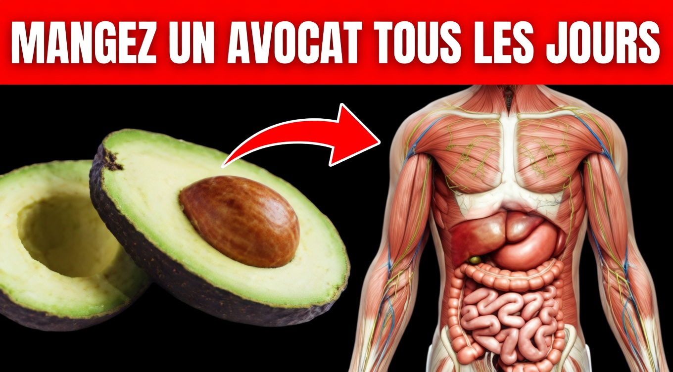 Avez-vous essayé le thé aux noyaux d’avocat pour un soutien quotidien au bien-être ?