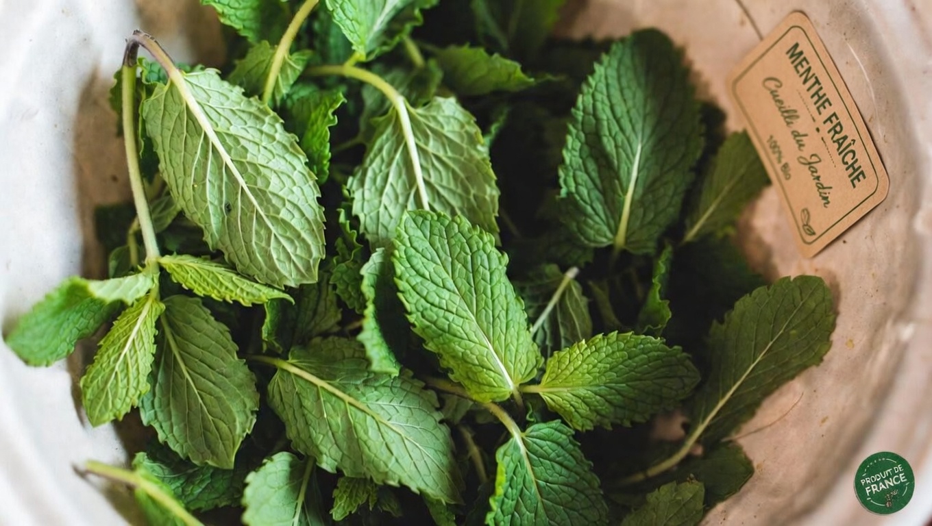 Comprendre la mauvaise circulation et le confort des veines des jambes