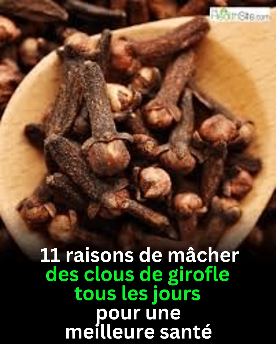 Que sont les clous de girofle et pourquoi sont-ils spéciaux ?