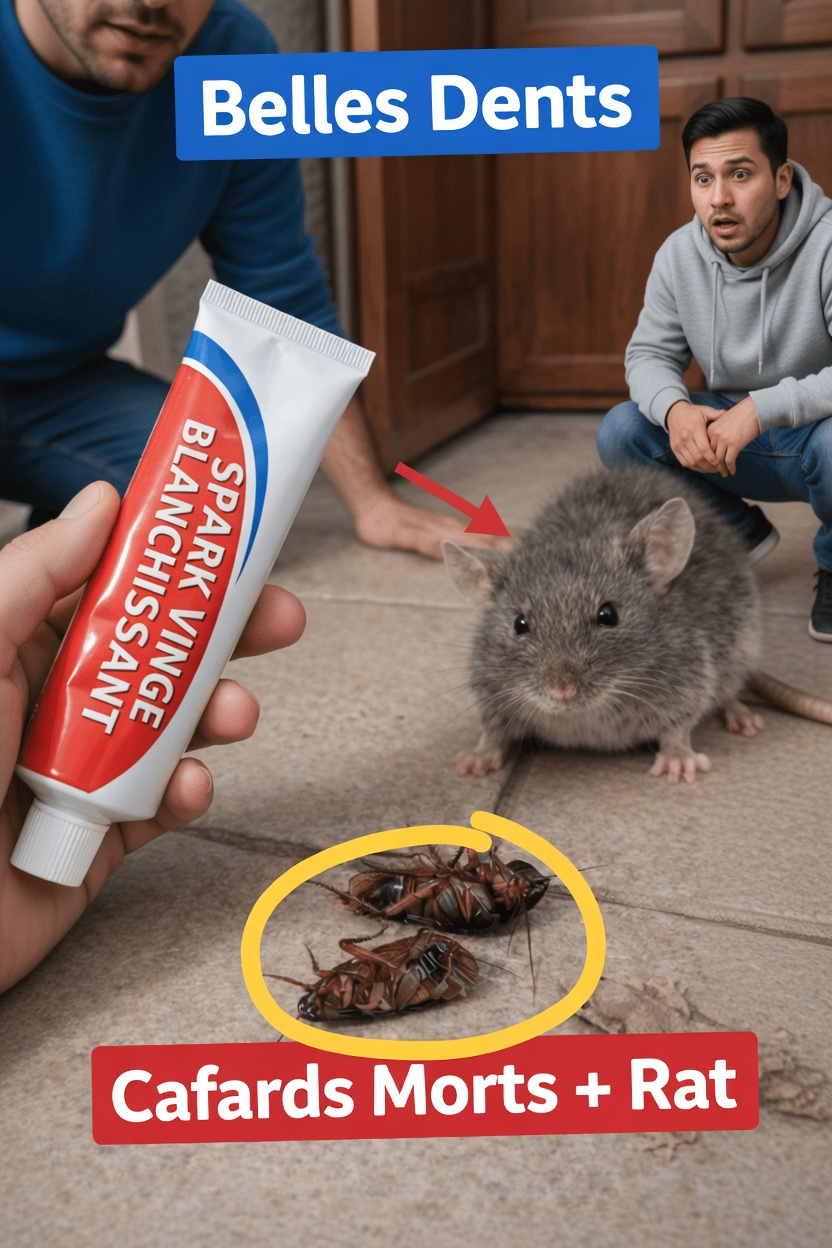 Pourquoi les nuisibles reviennent sans cesse chez vous