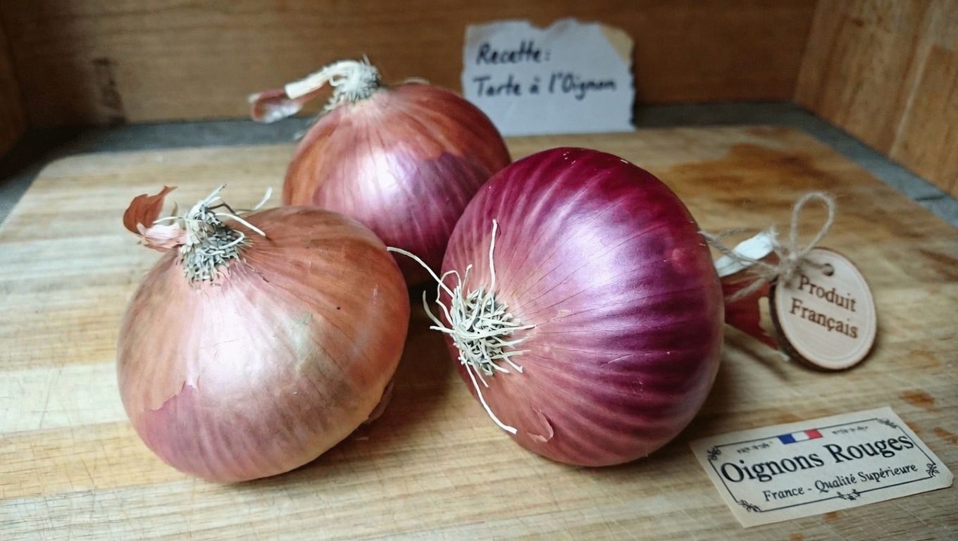 Pourquoi se concentrer sur la santé de la prostate et de la vessie ?