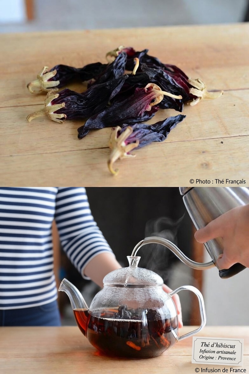 Une découverte surprenante : pourquoi le thé à l’hibiscus arrive en tête d’une étude portant sur 282 boissons pour leur teneur en antioxydants