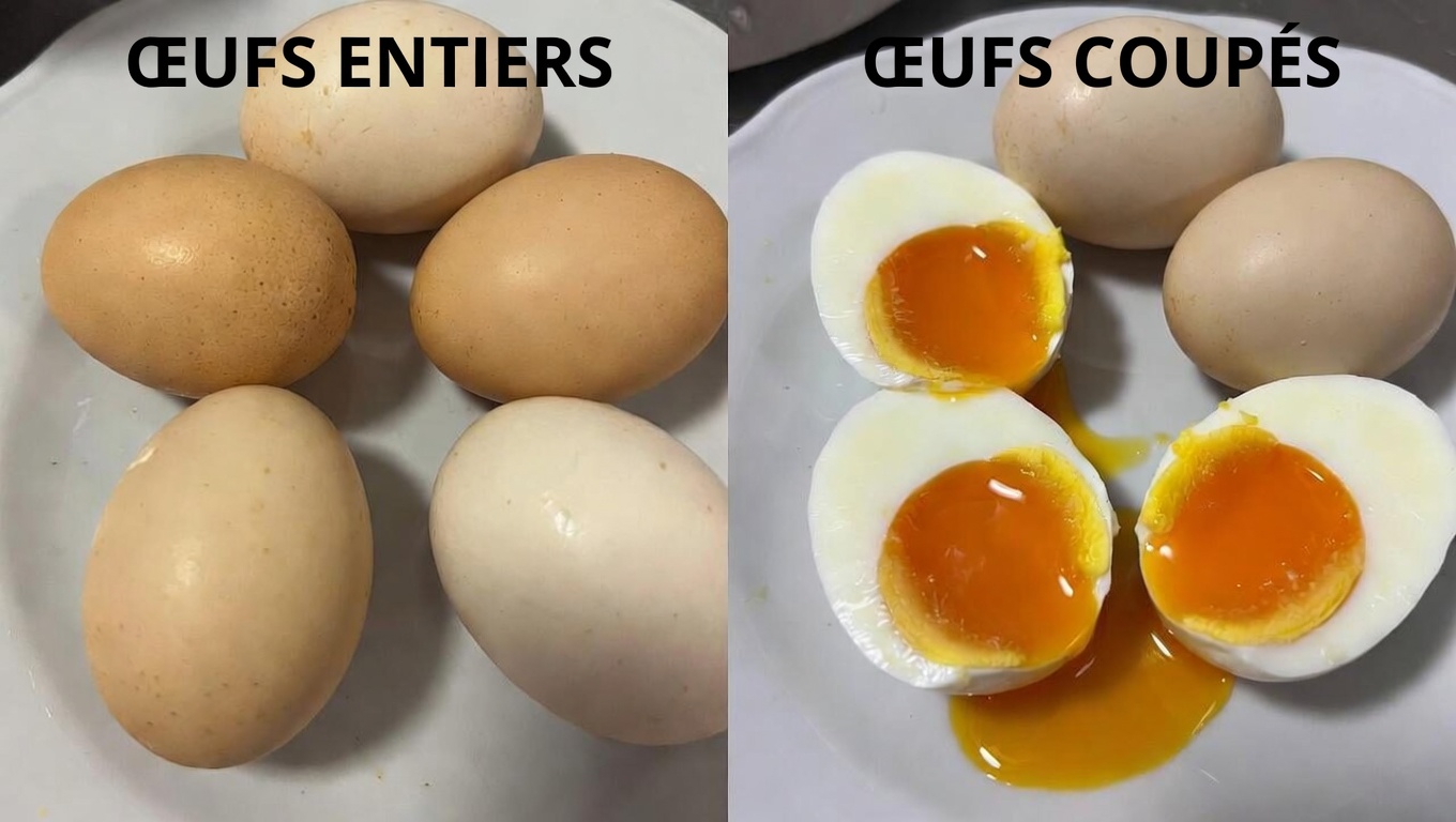 Ce que les médecins et les experts en nutrition disent de la consommation d’œufs durs au petit-déjeuner tous les matins