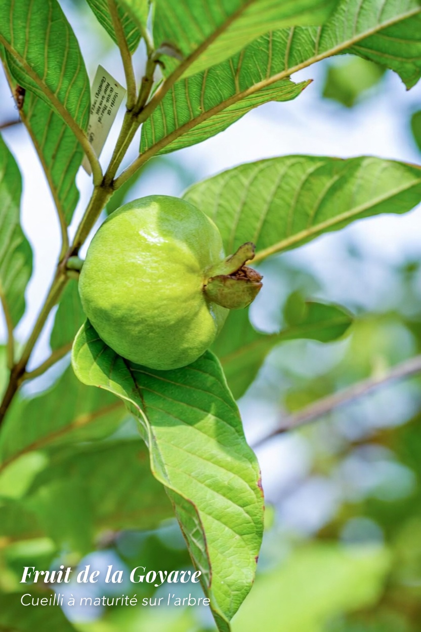 Ce fruit du quotidien pourrait-il aider à protéger vos yeux en vieillissant ?