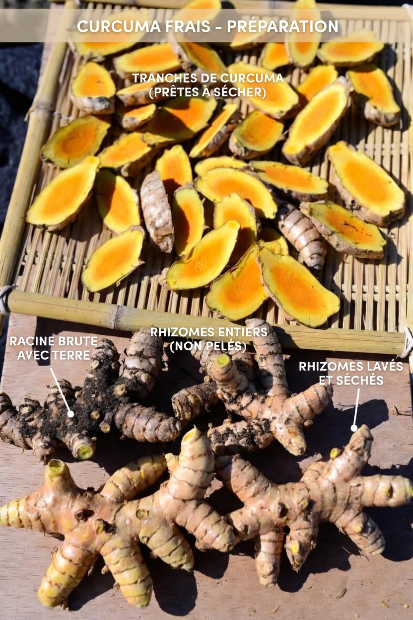 7 aliments qui peuvent favoriser naturellement une bonne circulation sanguine et un bon flux sanguin