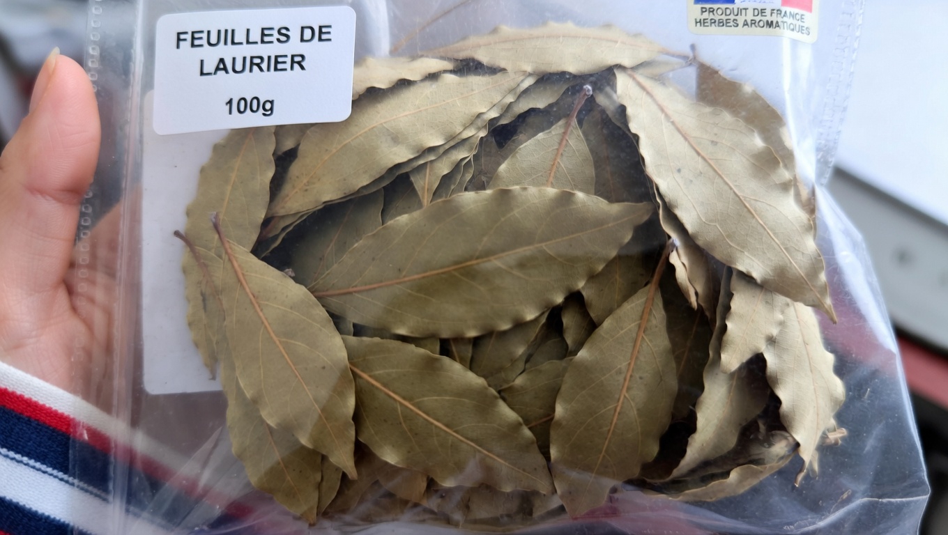 Explorer le rôle de soutien potentiel des feuilles de laurier et des clous de girofle dans le bien-être des reins : guide simple d’infusion à base de plantes