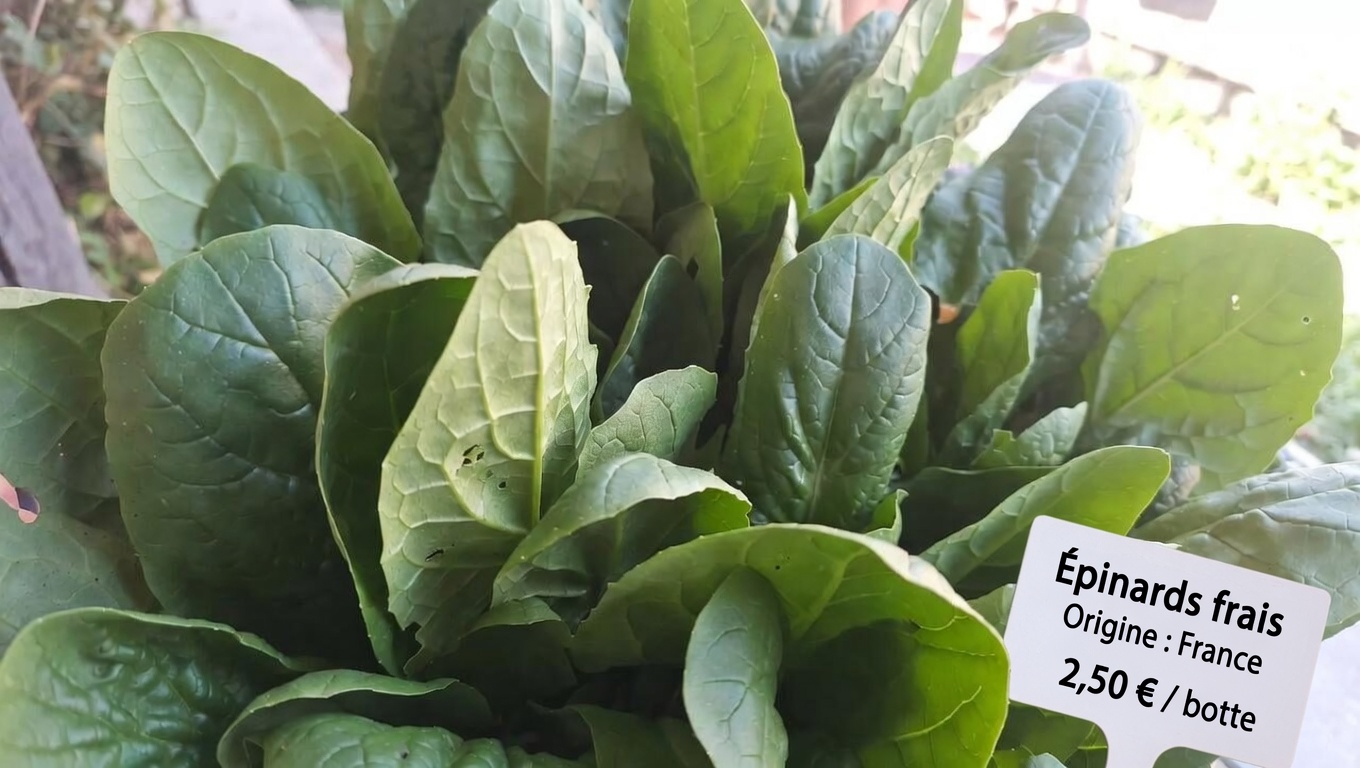 Quel rôle la vitamine K joue-t-elle dans votre corps ?