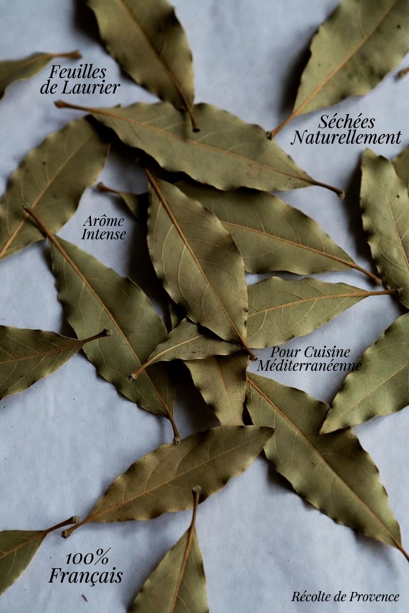 Explorer les bienfaits potentiels des feuilles de laurier pour le bien-être au quotidien