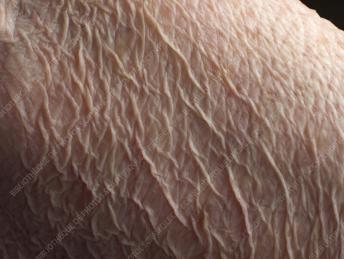 Faites-vous chaque jour cette erreur courante de 3 minutes dans votre routine de soins de la peau ?