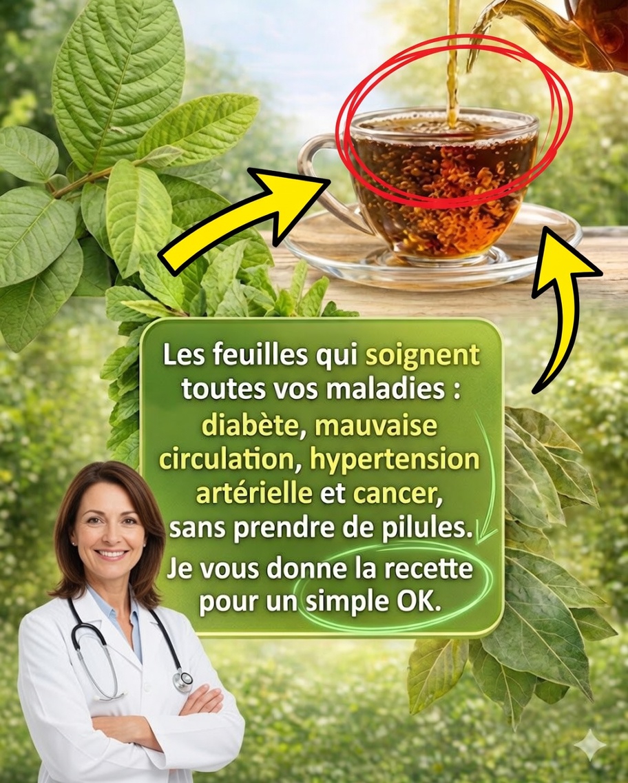 🌿 Les feuilles naturelles qui peuvent soutenir votre circulation et votre bien-être général
