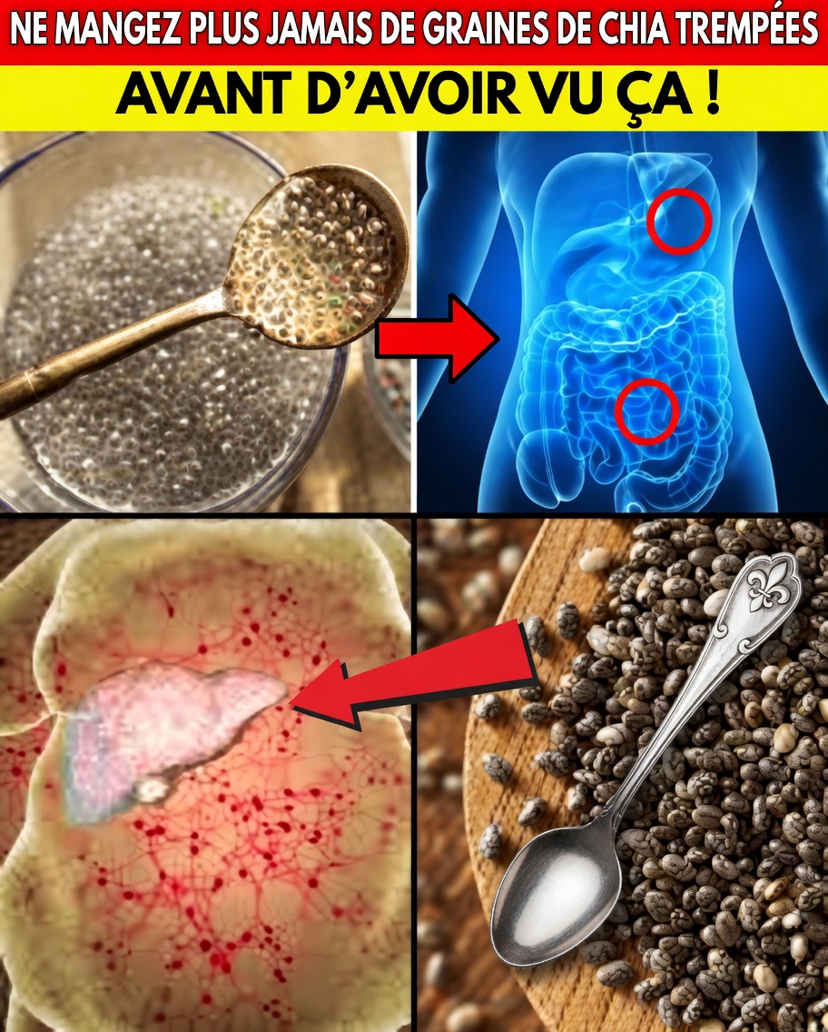 5 erreurs critiques que vous commettez lorsque vous faites tremper des graines de chia et comment les éviter pour de meilleurs résultats