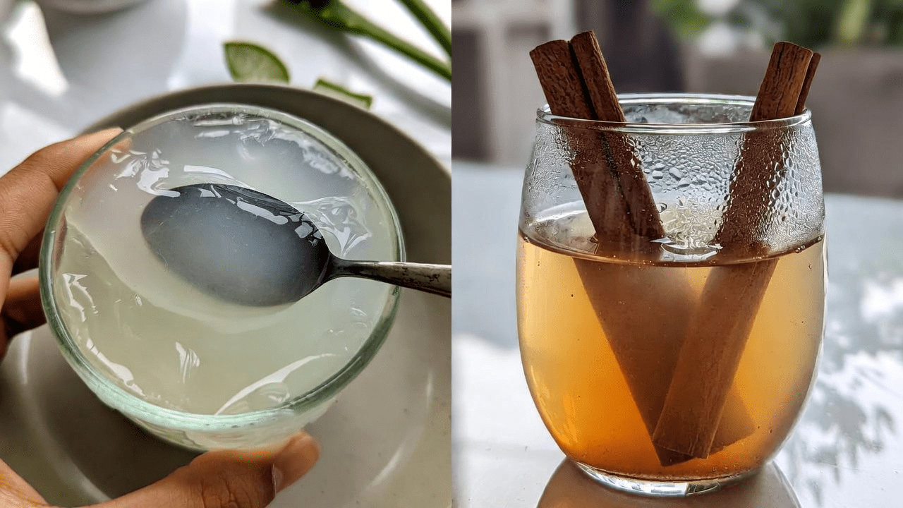 Aloe vera et cannelle : explorer des ingrédients naturels pour le bien-être et le soutien des yeux