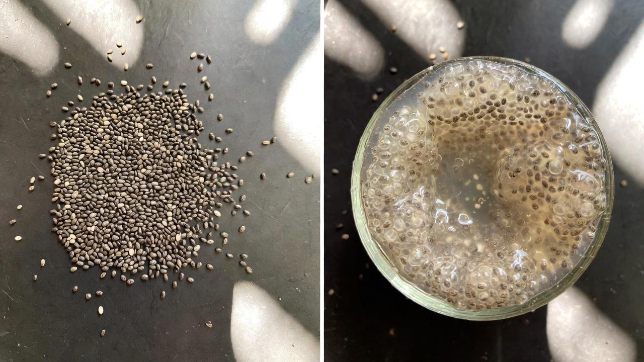 Pourquoi la santé du côlon est importante pour le confort au quotidien