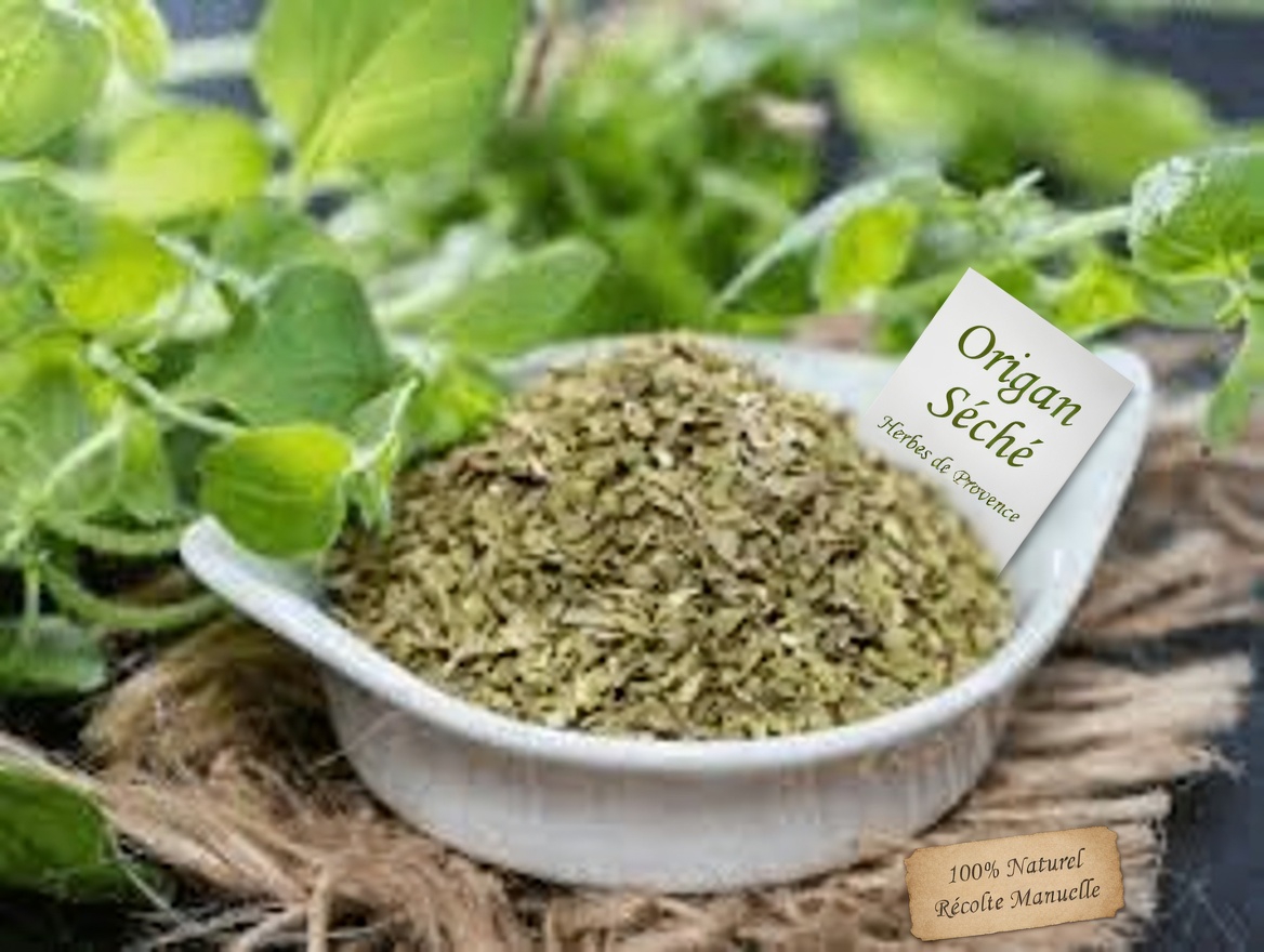 Découvrez les façons surprenantes dont l’origan peut soutenir votre routine quotidienne de bien-être
