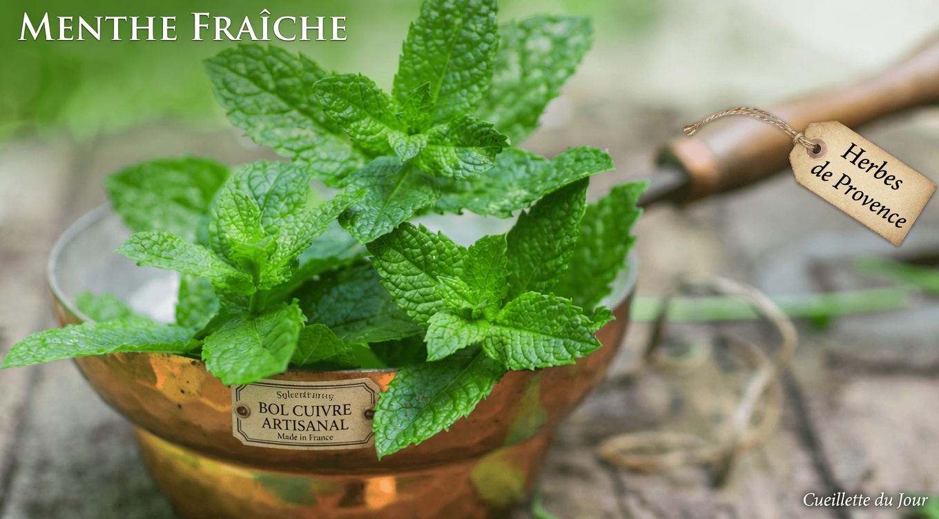 Le voleur silencieux : des moyens naturels pour soutenir vos artères sans passer par la pharmacie