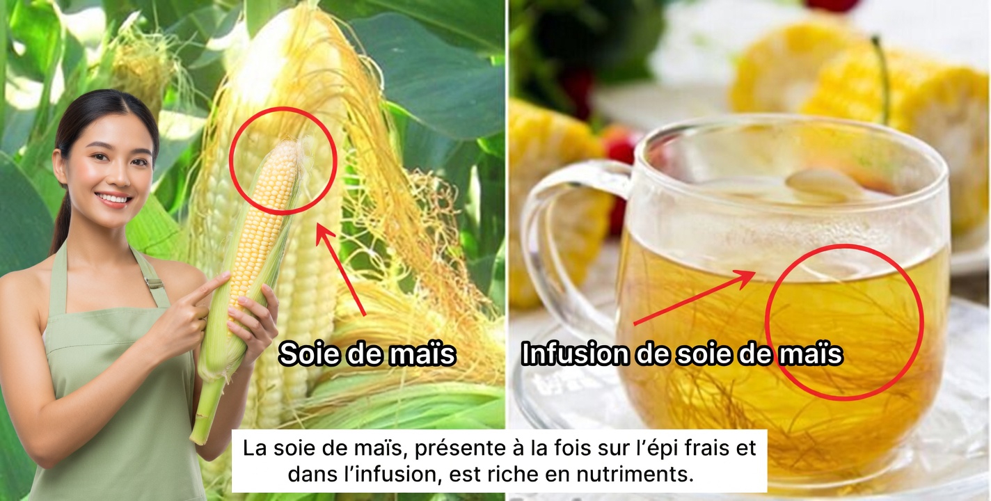 30 bienfaits pour la santé et comment l’utiliser