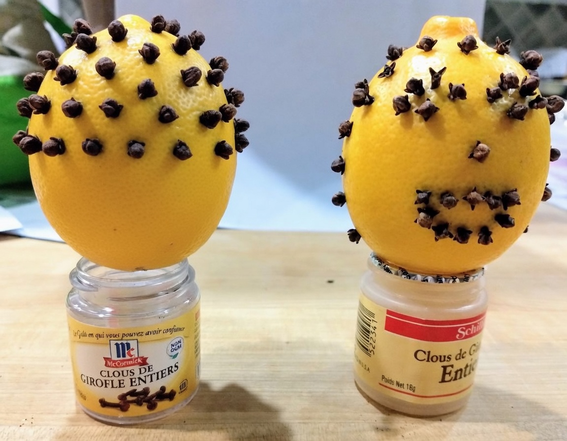 Découvrez une combinaison naturelle pour la santé à la maison