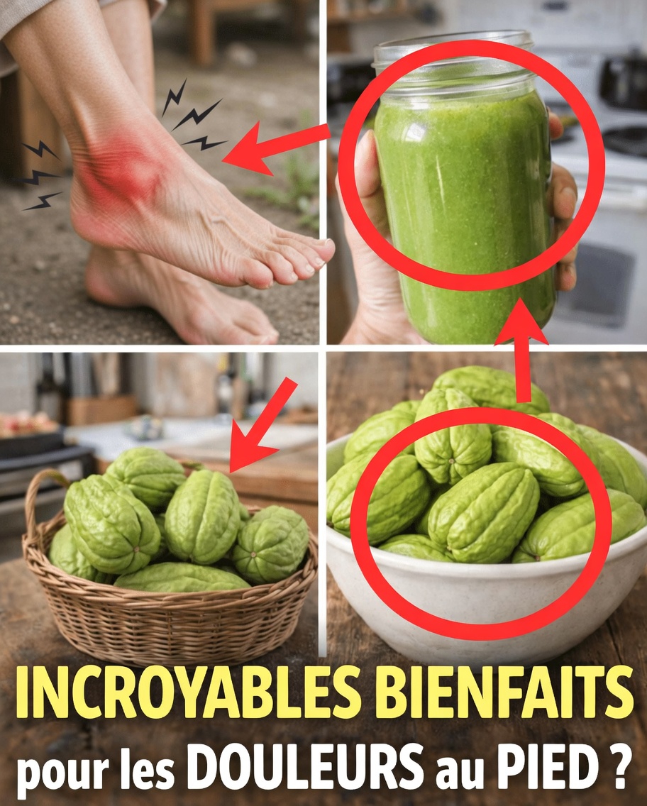 Découvrez la chayote polyvalente : des façons simples d’ajouter ce légume riche en nutriments à vos repas quotidiens pour un bien-être accru
