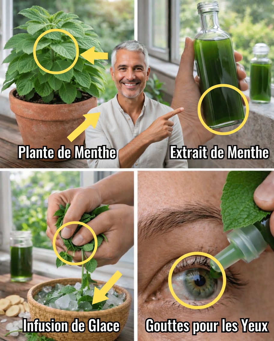 Comment intégrer des feuilles de menthe à votre routine pour un meilleur confort oculaire et un soutien global de la vision