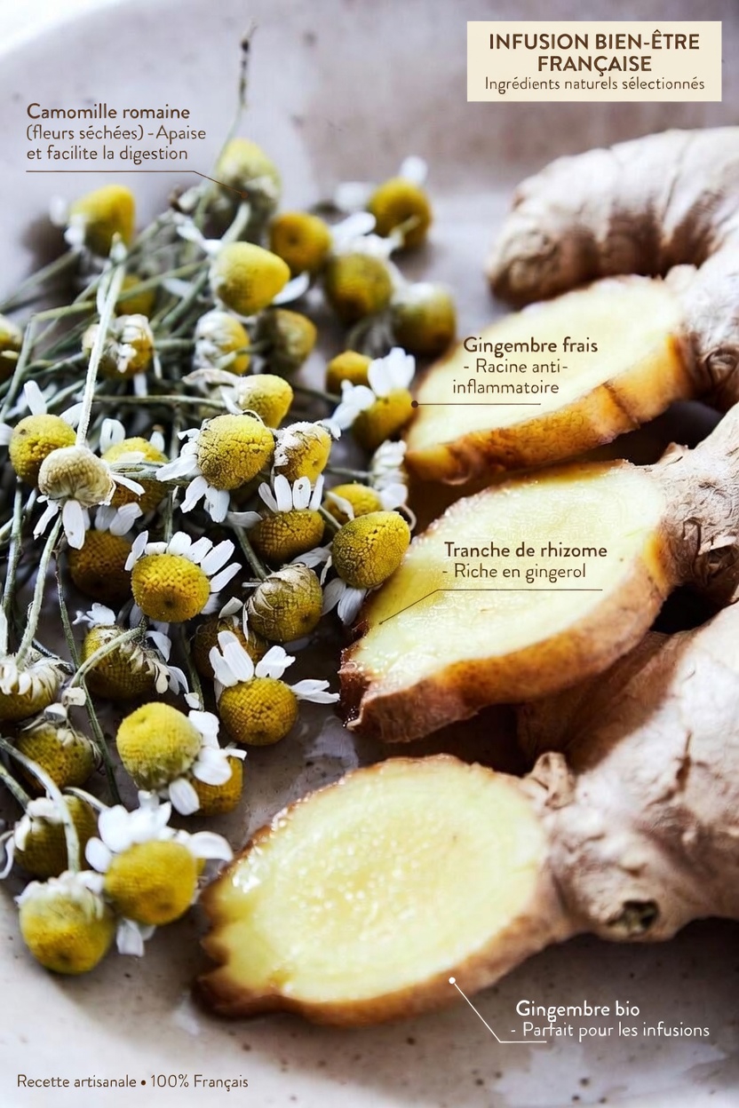 11 boissons apaisantes à savourer chaque soir avant de dormir pour soutenir naturellement le bien-être de vos reins