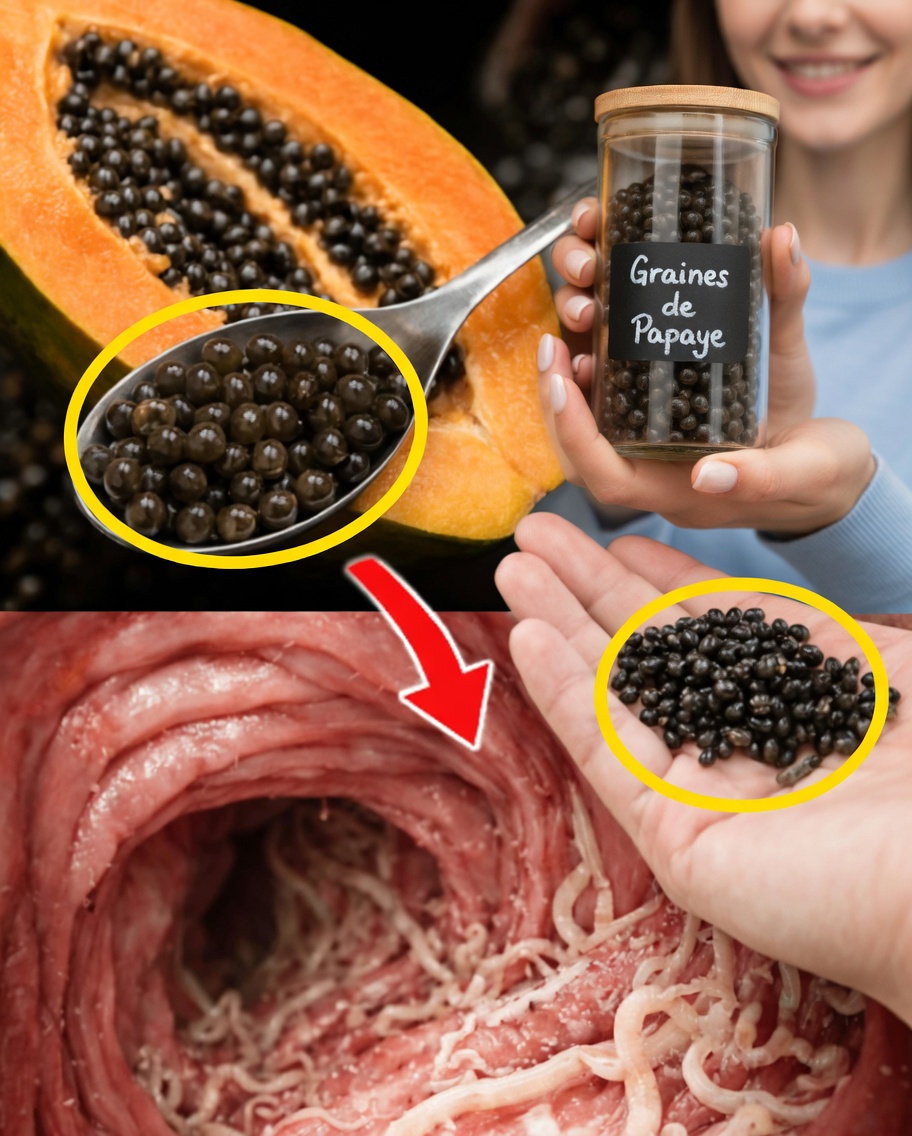 Le superaliment négligé dans votre corbeille de fruits : 14 bienfaits étonnants des graines de papaye qui pourraient transformer votre bien-être quotidien