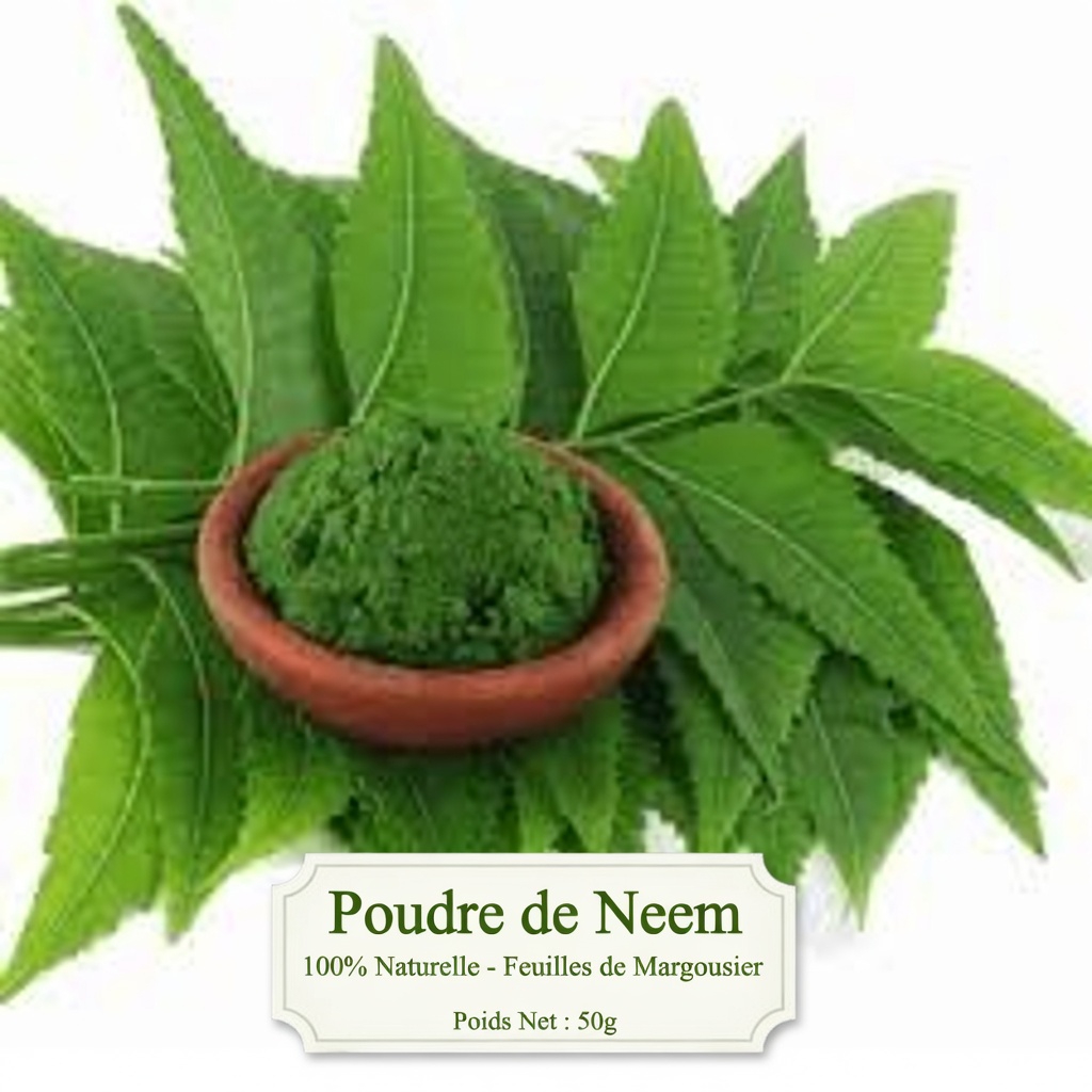 L’unique feuille amère qui rend discrètement les piluliers obsolètes pour les Américains de plus de 60 ans