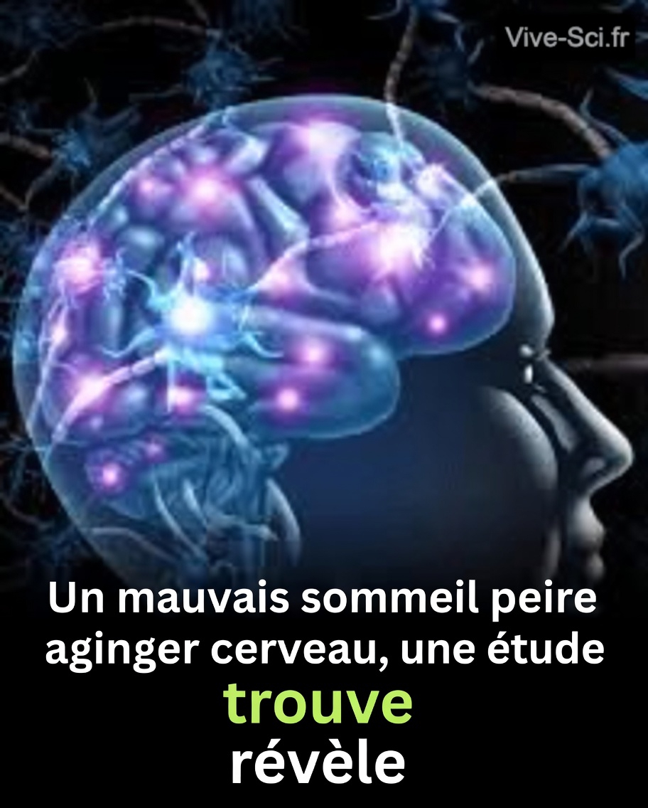 Le lien surprenant entre vos habitudes de sommeil et la santé du cerveau plus tard dans la vie
