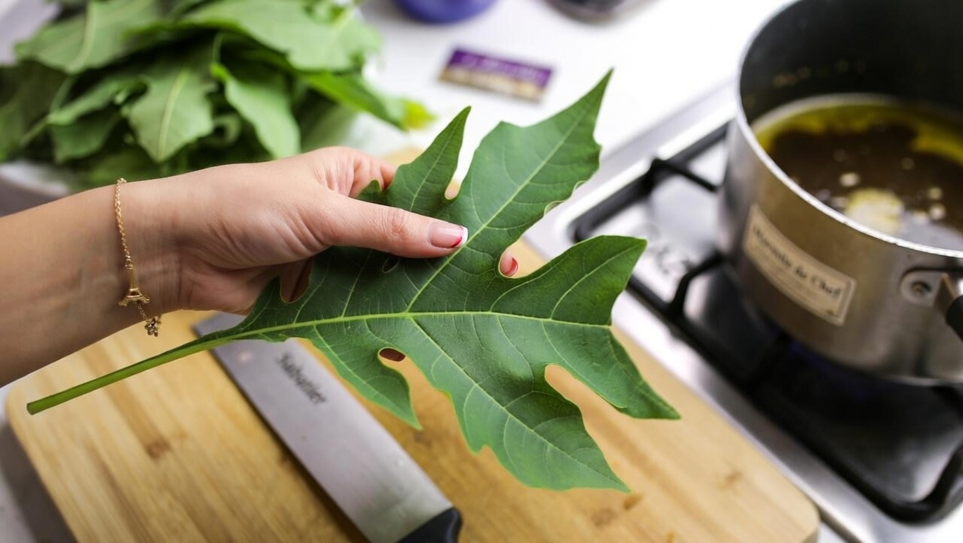 Les feuilles de papaye peuvent-elles favoriser des cheveux et un cuir chevelu plus sains ? Deux méthodes DIY simples à découvrir