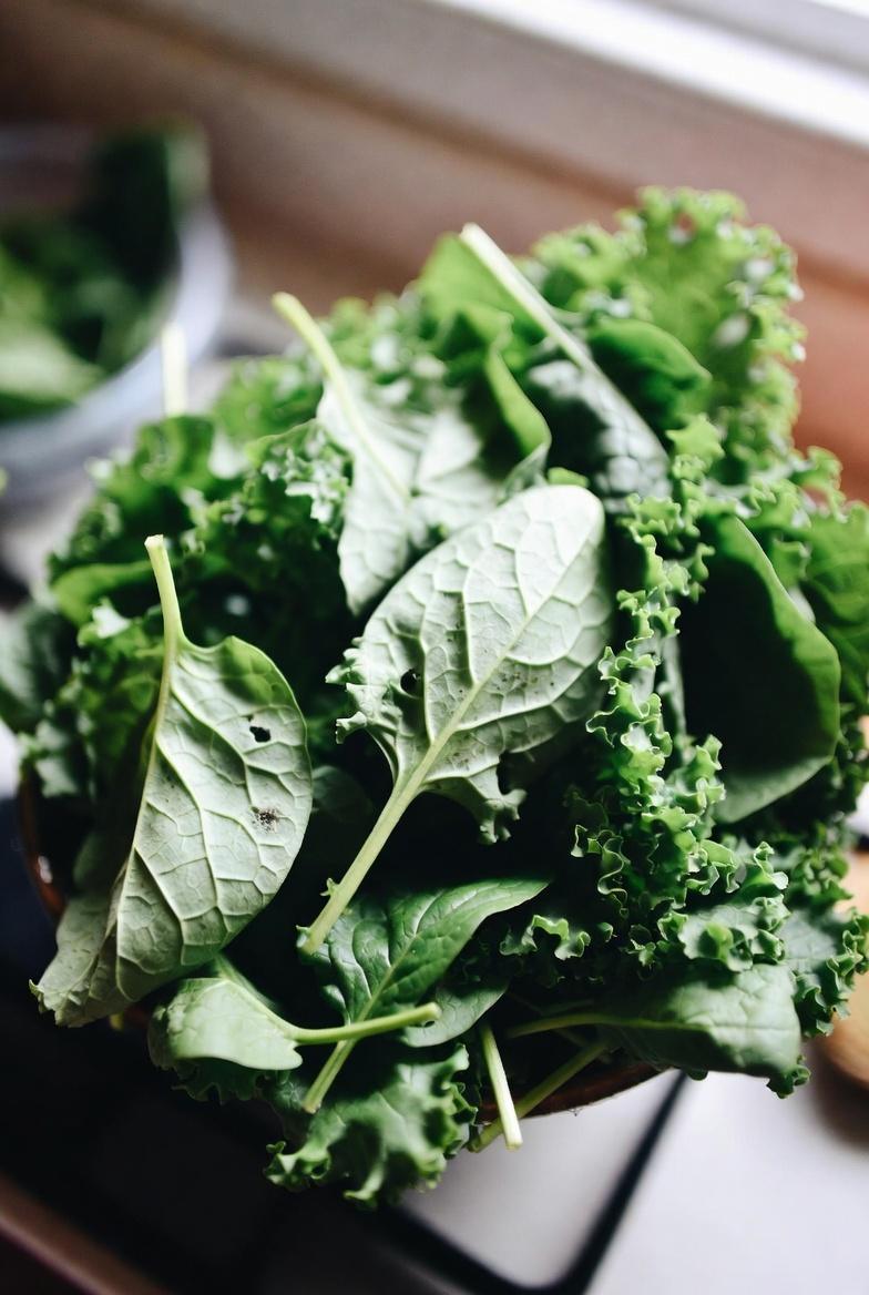 Découvrez comment la vitamine K favorise une bonne circulation sanguine dans les jambes chez les seniors