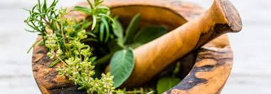 Découvrez des moyens simples de favoriser une circulation saine des jambes avec des herbes du quotidien