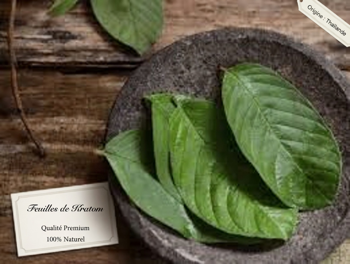 Découvrez des moyens simples de soutenir la santé bucco-dentaire avec des feuilles de goyave – des conseils quotidiens pour un sourire plus sain