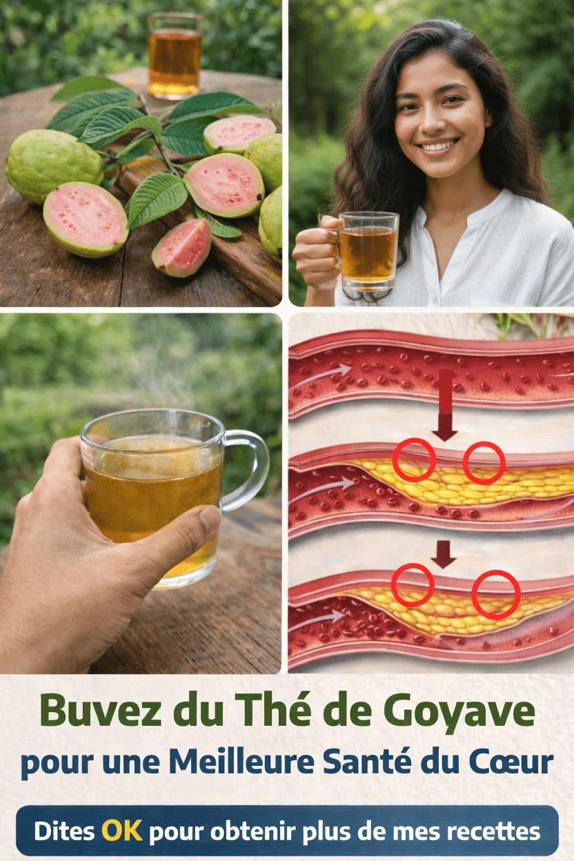 Explorer le potentiel du thé de feuilles de goyavier pour favoriser la santé cardiaque