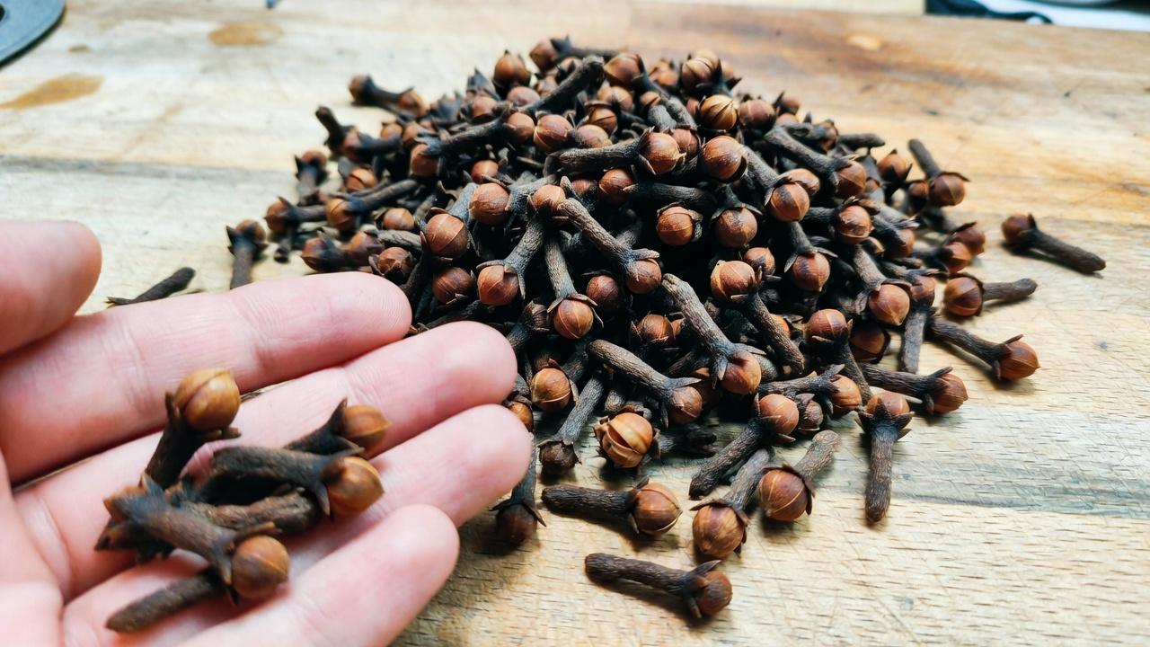 9 moyens naturels de favoriser des dents plus saines et de réduire l’accumulation de plaque dentaire