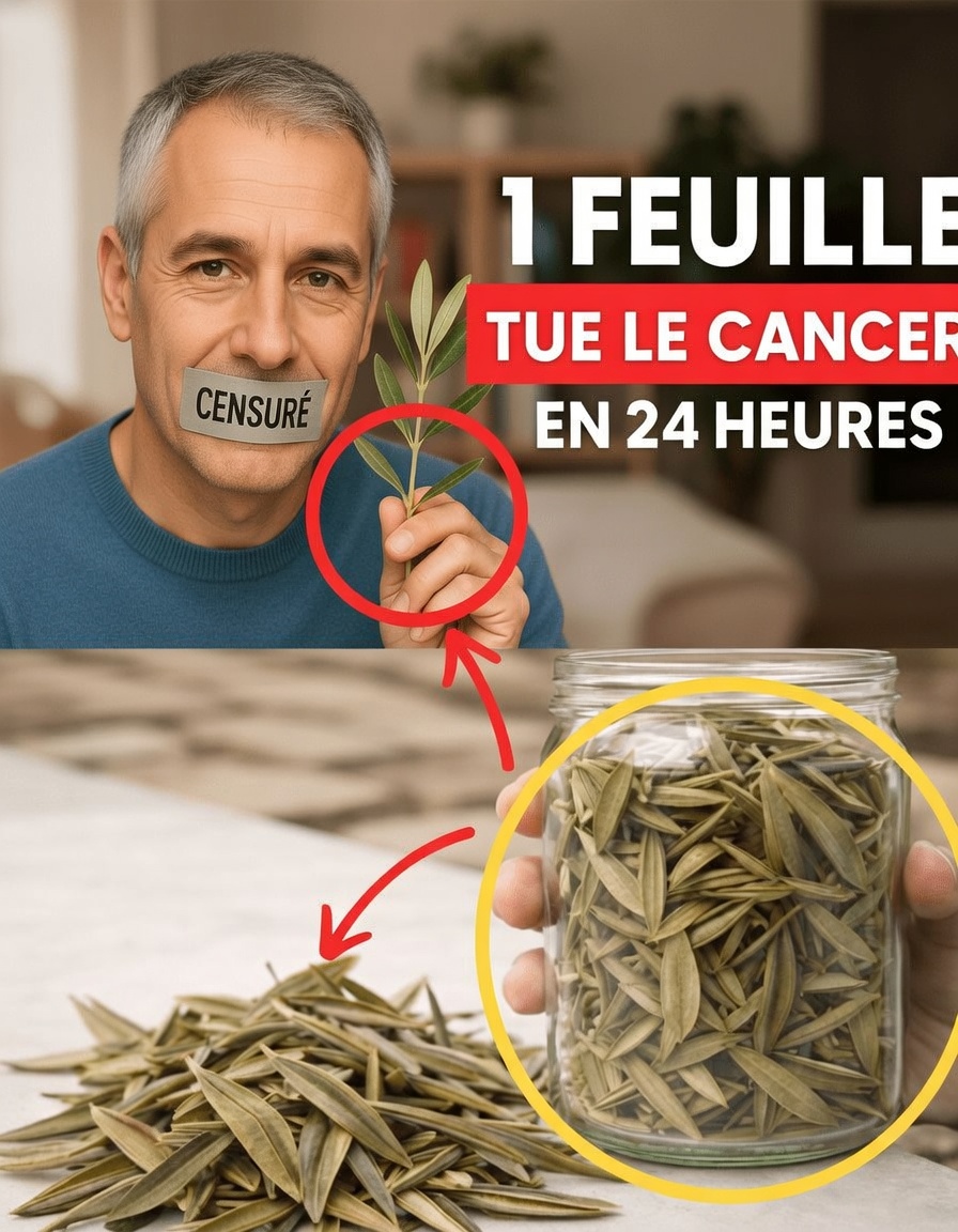 La feuille méconnue qui pourrait aider votre corps à combattre les cellules cancéreuses