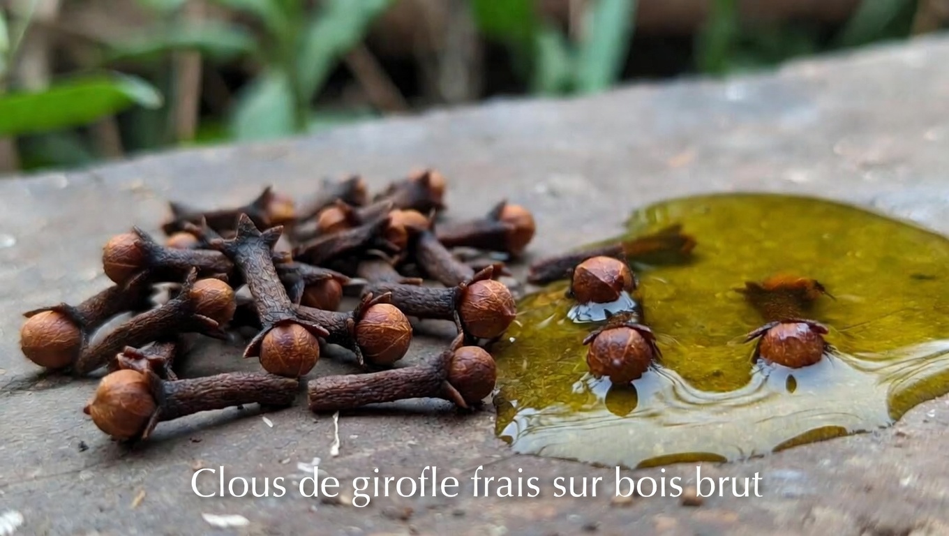 Découvrez le potentiel des clous de girofle pour préserver des cheveux d’apparence jeune avec l’âge