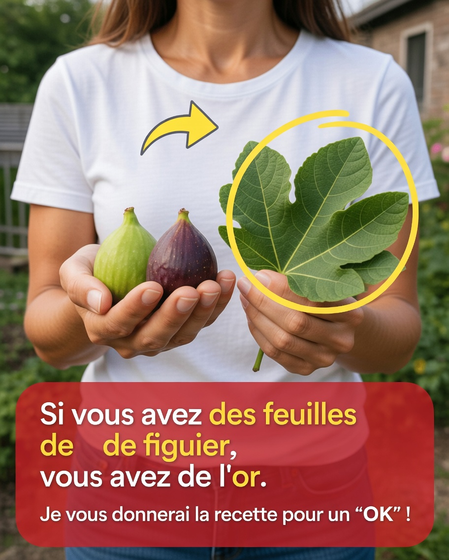 Le pouvoir caché des feuilles de figuier : une tisane simple que vous pourriez avoir envie d’essayer