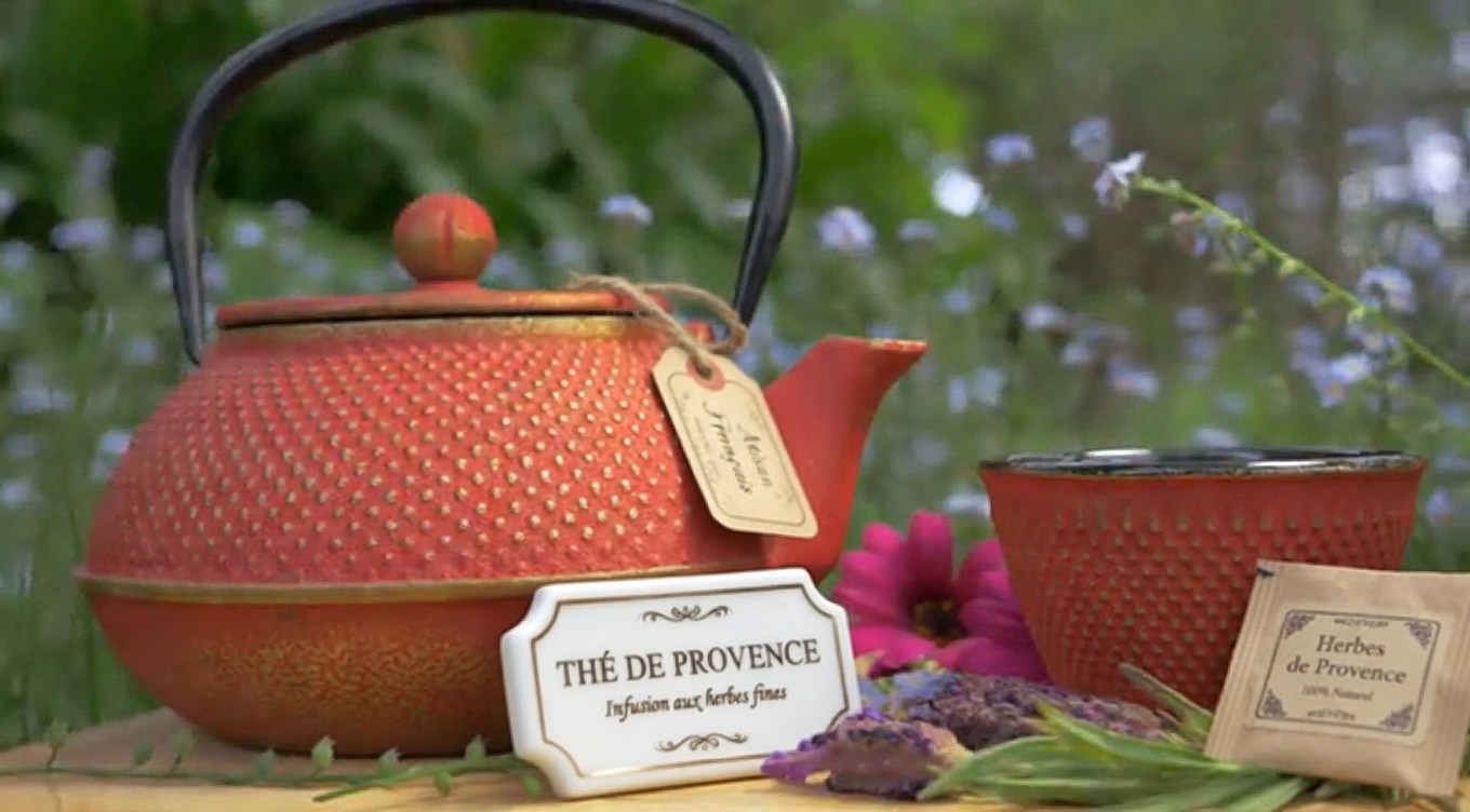 Top 15 des herbes qui peuvent tuer les infections et éliminer le mucus des poumons