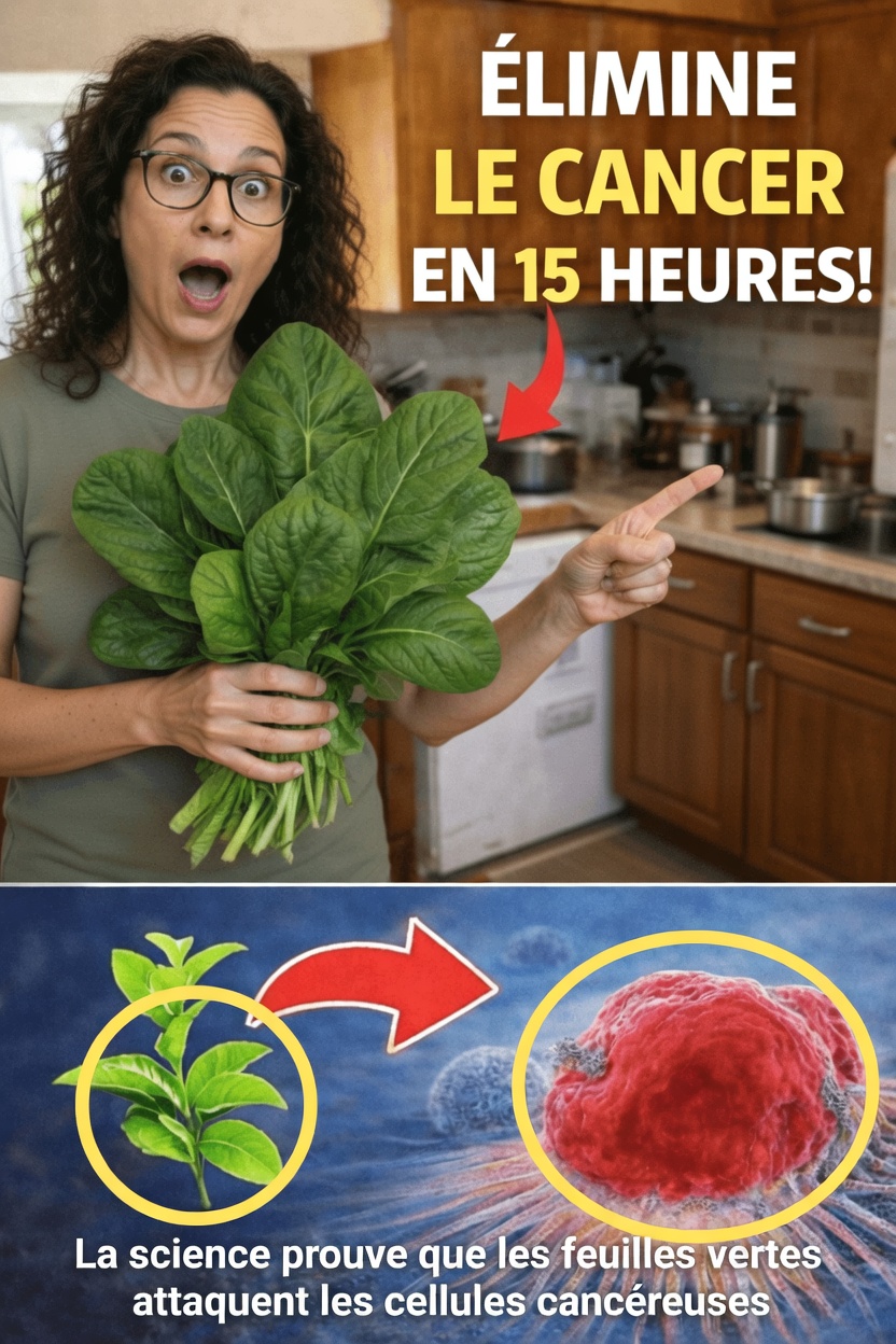 Pourquoi parle-t-on des légumes verts à feuilles et de la prévention du cancer ?