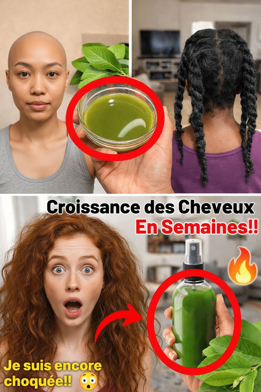 Les feuilles de goyave peuvent-elles favoriser des cheveux plus sains ? Exploration de leurs bienfaits potentiels et de la façon de les utiliser