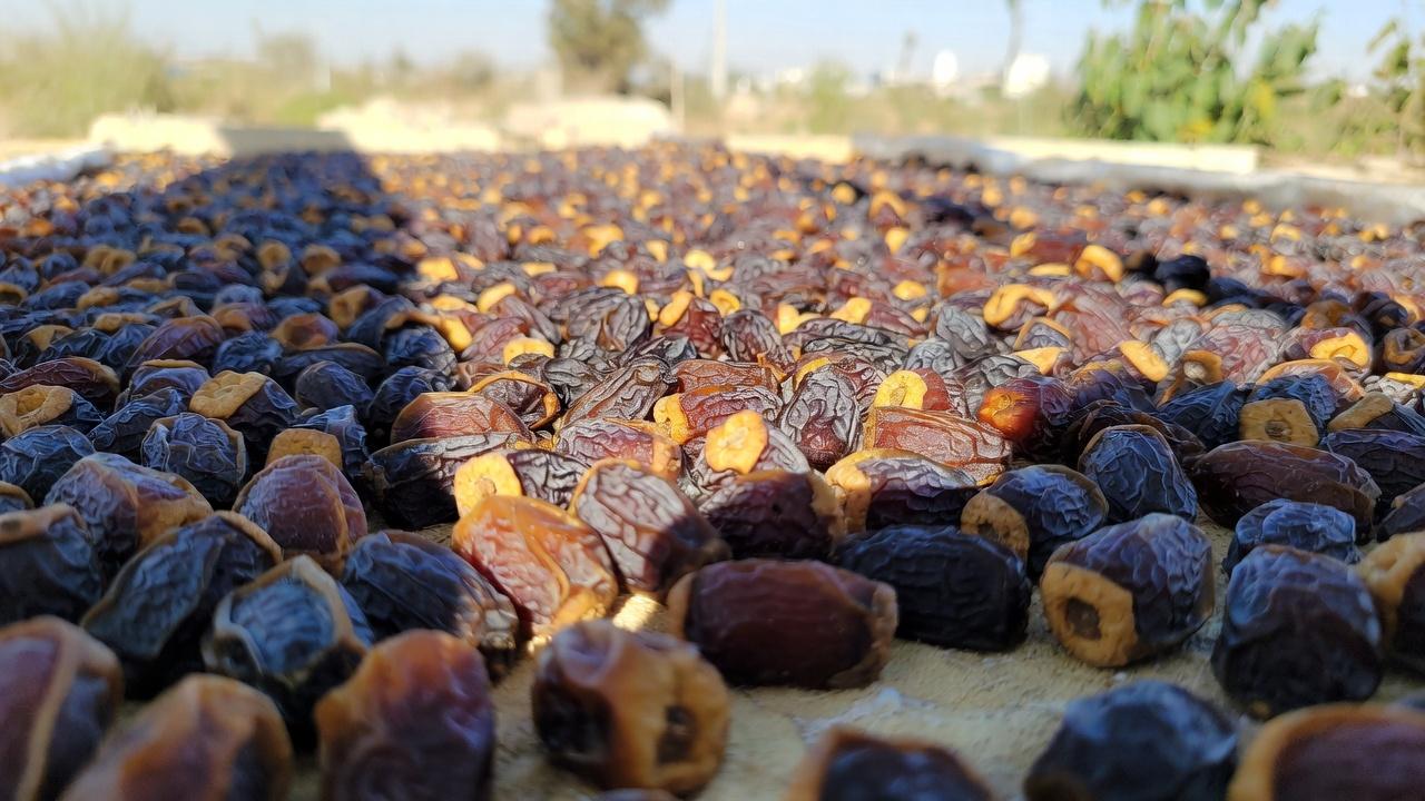 L’ajout de dattes à votre routine quotidienne peut-il soutenir votre santé osseuse en vieillissant ?