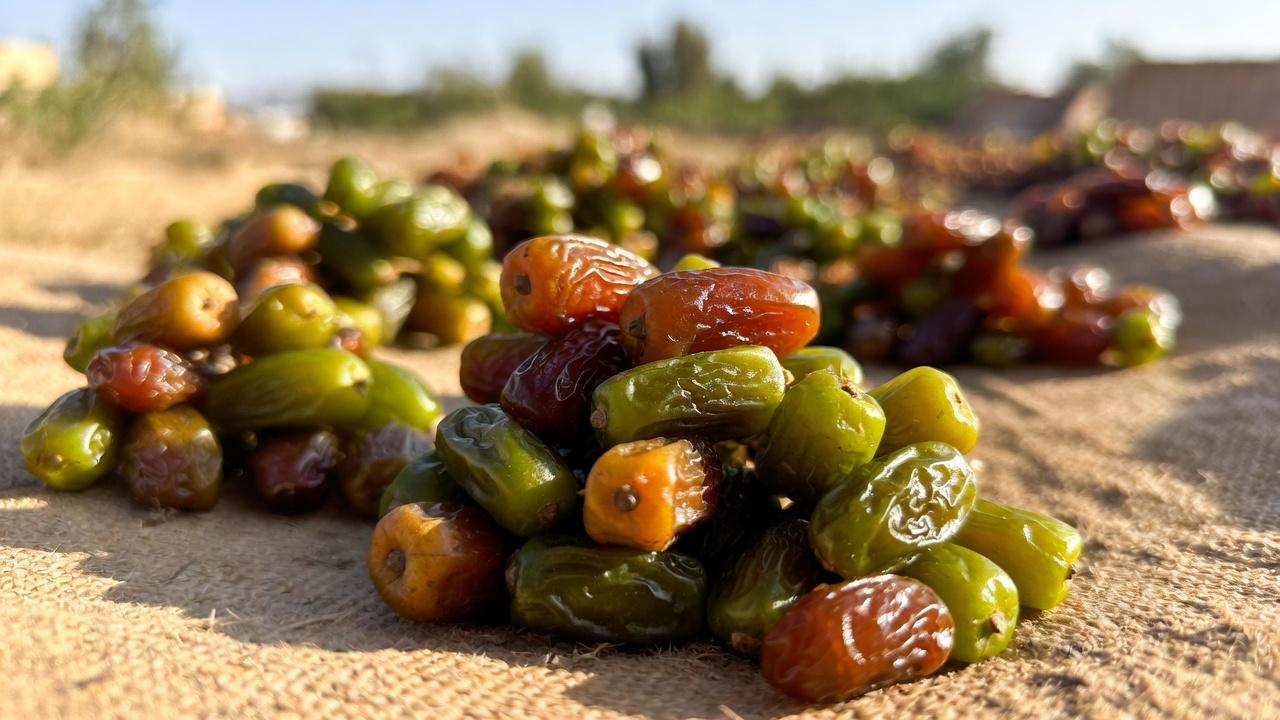 L’ajout de dattes à votre routine quotidienne peut-il soutenir votre santé osseuse en vieillissant ?