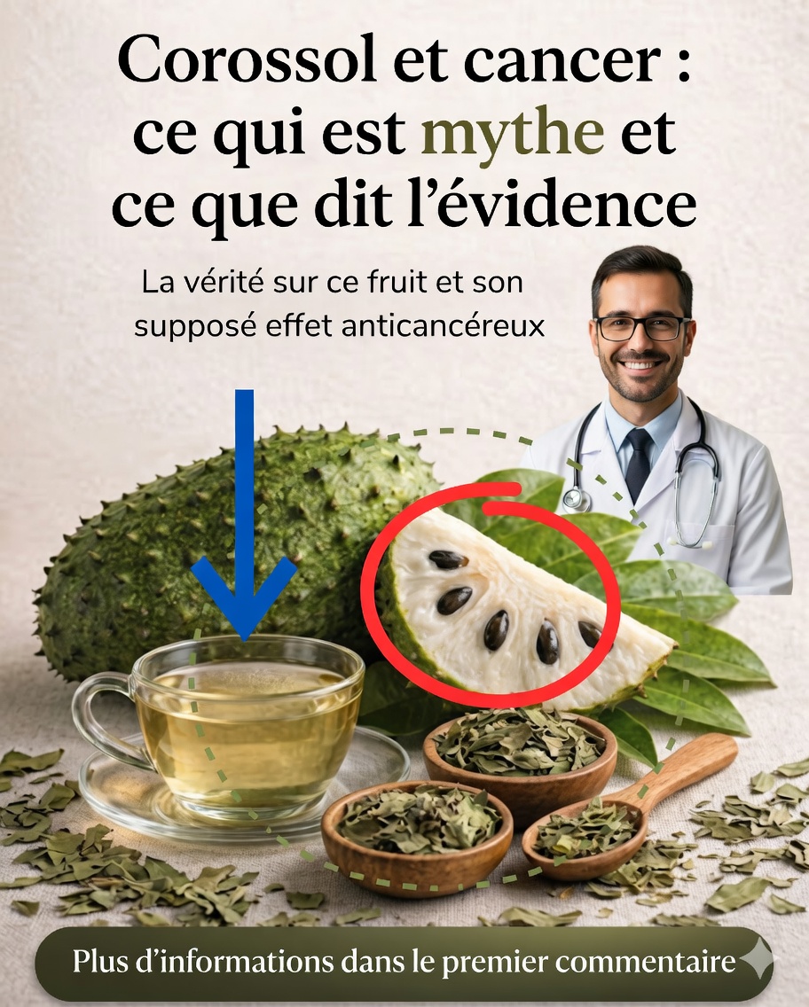 🍃 Corossol et cancer : 7 recettes naturelles et ce que dit vraiment la science