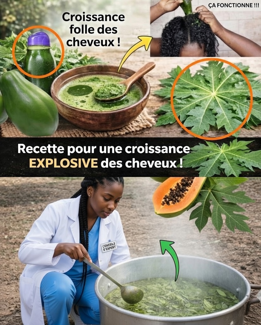 🌿 Découvrez le pouvoir des feuilles : ce que ces plantes médicinales apportent vraiment (sans tomber dans les mythes)