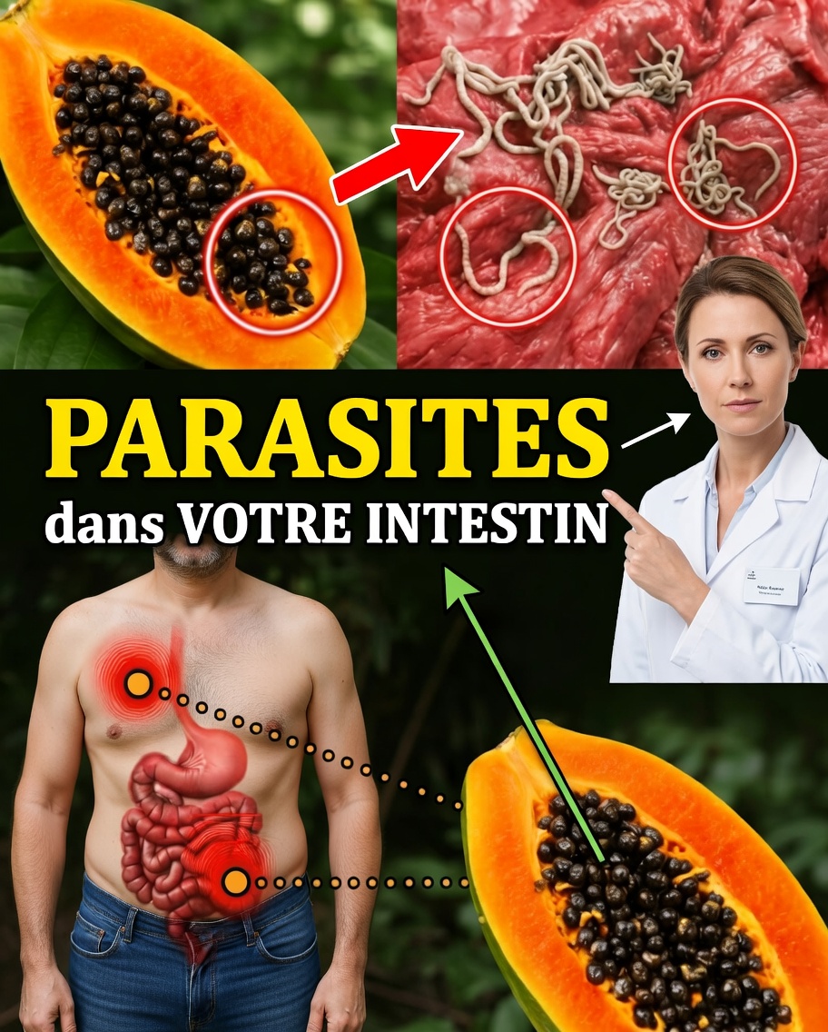 Graines de papaye : ce « déchet » précieux que vous ne devriez plus jeter