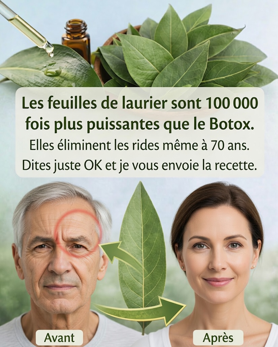 La feuille de laurier contre les rides : le remède naturel qui séduit de plus en plus 🌿