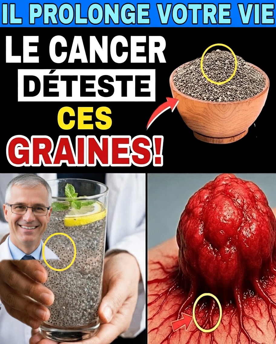 6 graines du quotidien pour renforcer naturellement les défenses de votre organisme contre le cancer après 50 ans