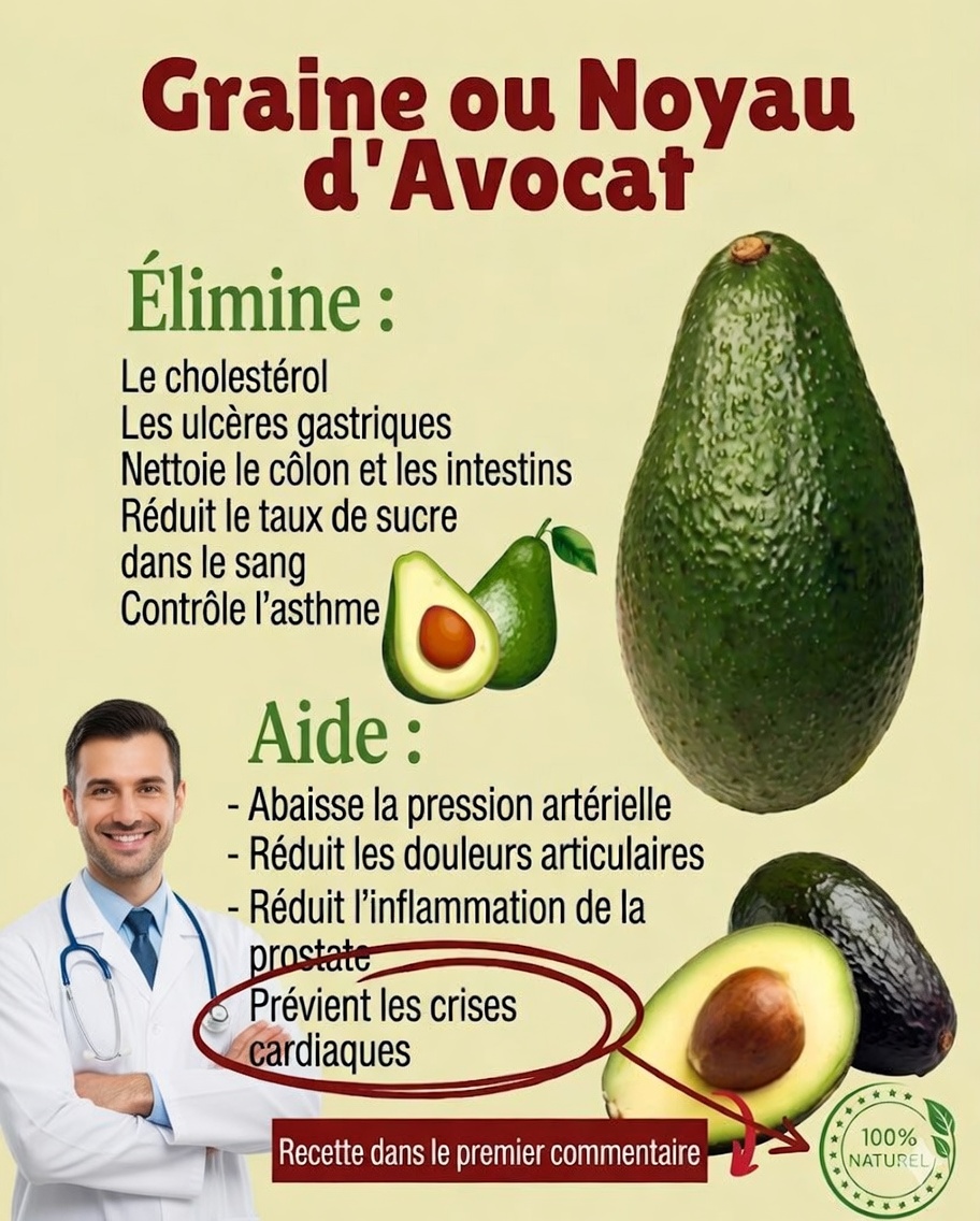 À partir d’aujourd’hui, ne jetez plus le noyau d’avocat : découvrez pourquoi il vaut de l’or !