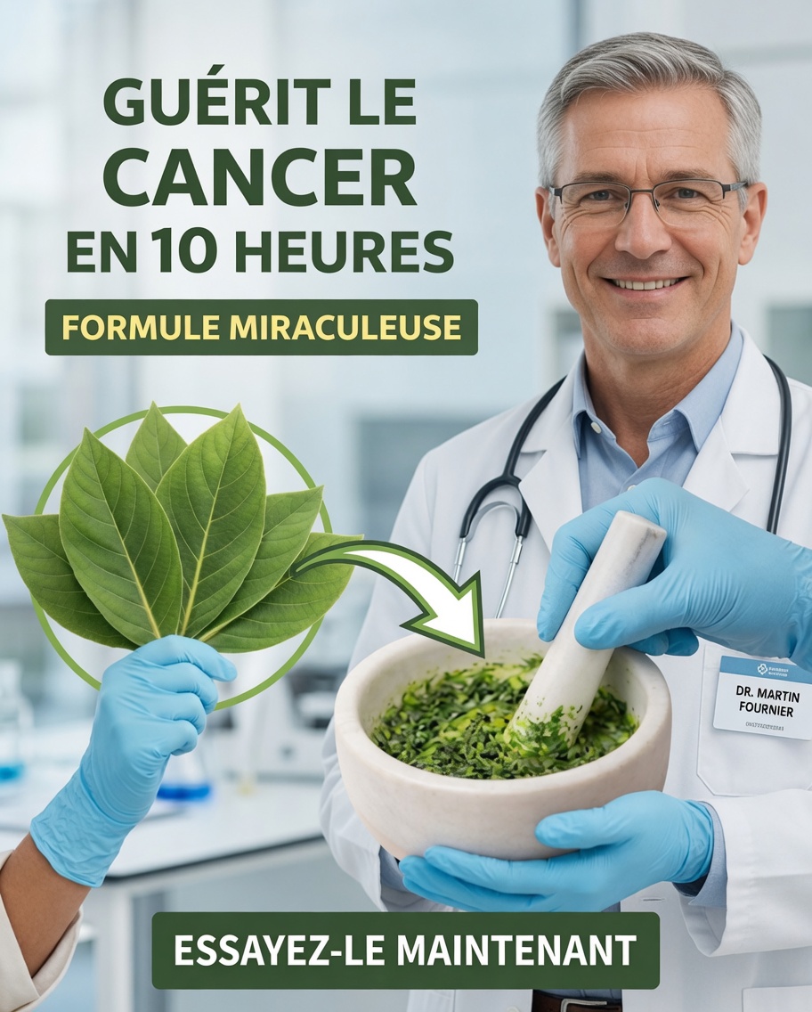 La feuille miracle dont tout le monde parle : bienfaits, usages et pourquoi vous devriez la connaître